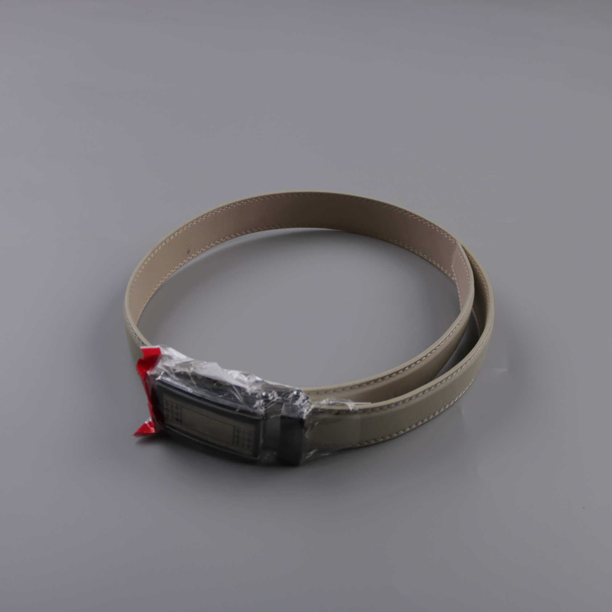 250304069-1